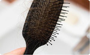 Escova com cabelo